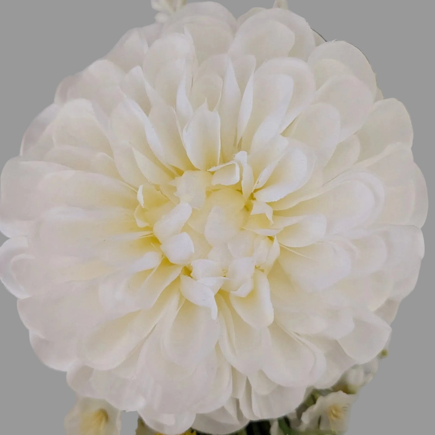 Close up view of a faux white pom pom dahlia