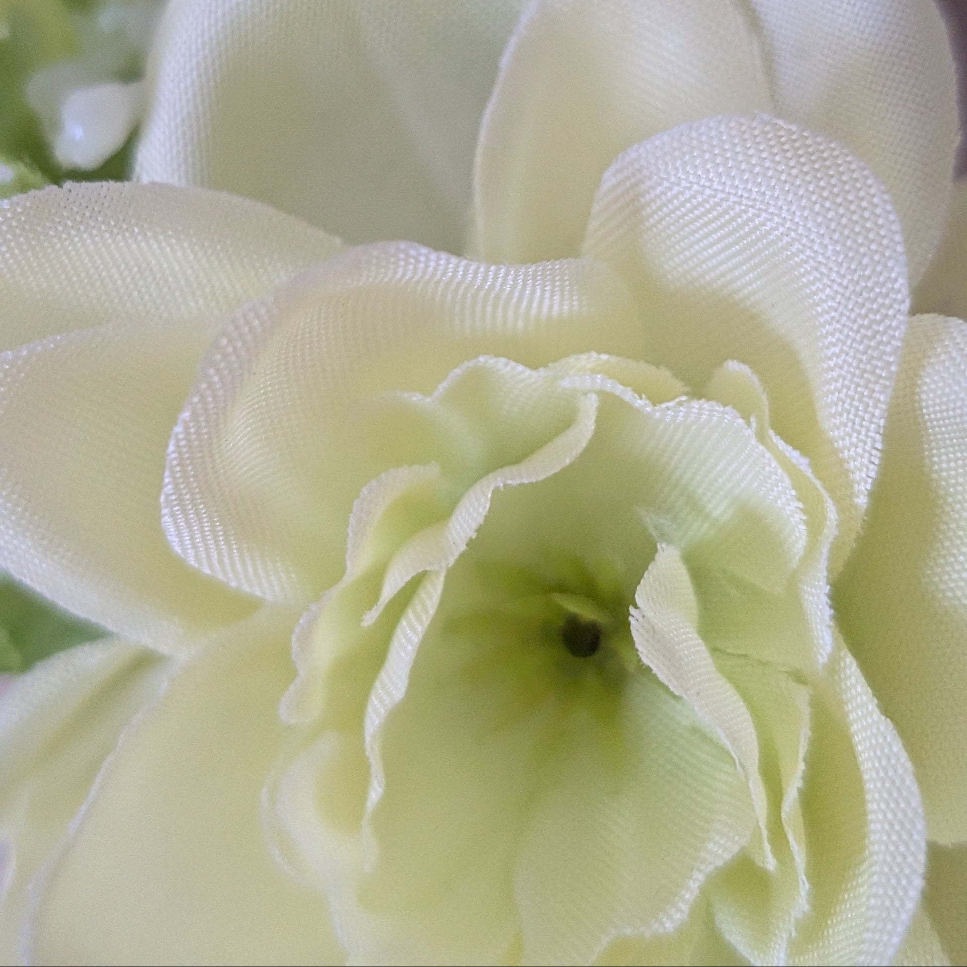 Close up of  key Lime Pie Wreath (20cm) faux cream Birdwood floral